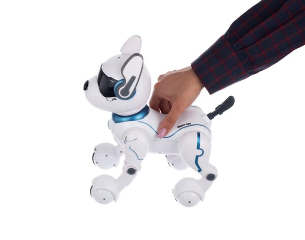 سگ کنترلی رباتیک leidy dog