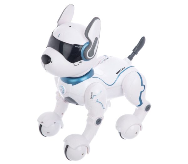 ربات سگ کنترلی لیدی داگ